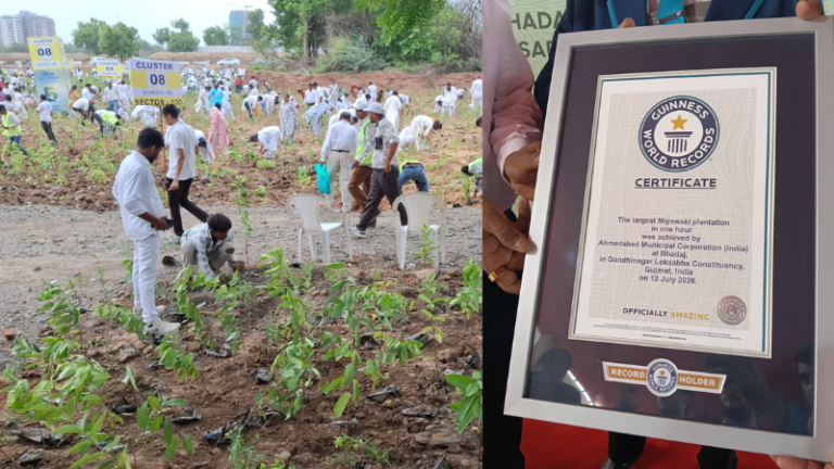 Ahmedabad sets Guinness World Record by planting 3.61 lakh saplings in one hour; Harsh Sanghavi extends congratulations