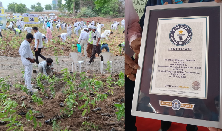 Ahmedabad sets Guinness World Record by planting 3.61 lakh saplings in one hour; Harsh Sanghavi extends congratulations
